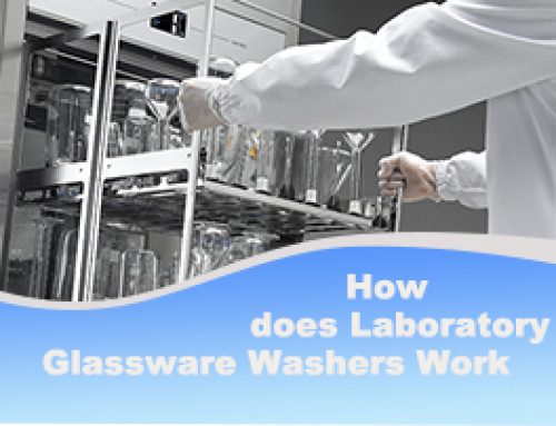 Laboratory Glassware Washers Protect Your Lab Environment